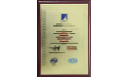 榮譽(yù)資質(zhì) 榮譽(yù)資質(zhì)